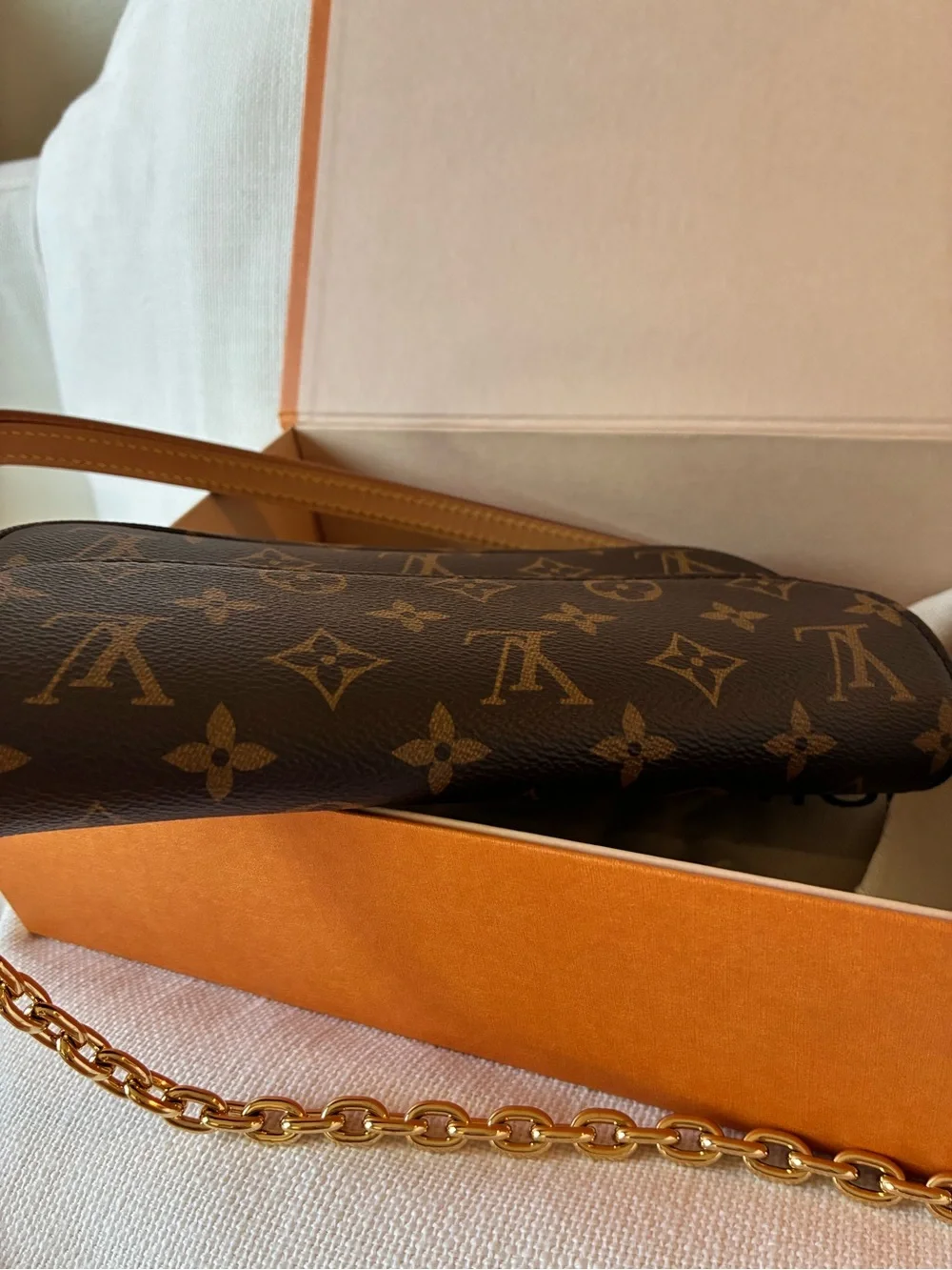 Louis Vuitton Ivy Wallet on Chain Monogram M81911